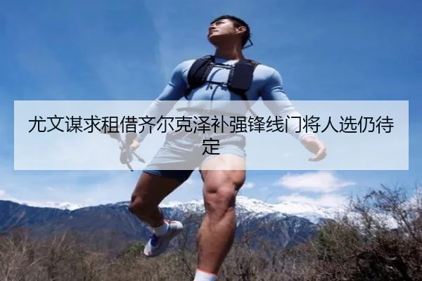 尤文谋求租借齐尔克泽补强锋线门将人选仍待定